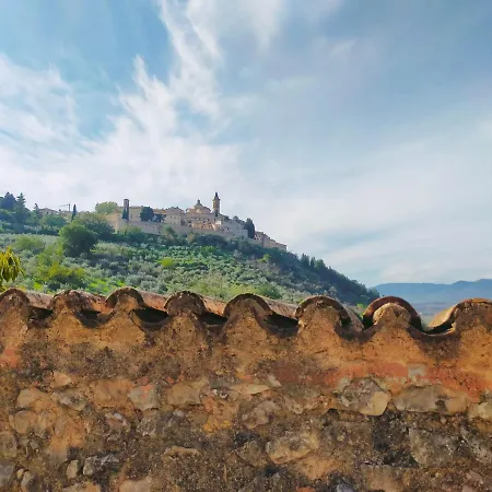 Manciobiba טרווי