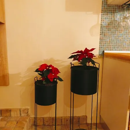 Manciobiba Ferienhaus